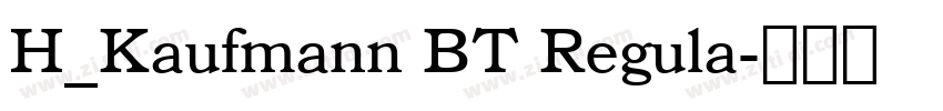 H_Kaufmann BT Regula字体转换